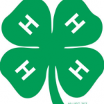 Faithful Scholars logo representing a legal accountability association for Pre-K to high school homeschooling support.