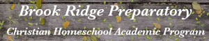 Brook Ridge Preparatory: A Christian homeschooling program offering Pre-K to high school support and legal accountability for families.